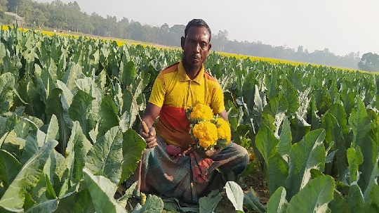 image-here